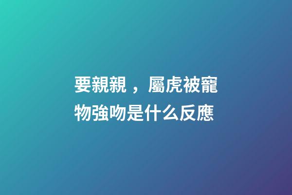 要親親，屬虎被寵物強吻是什么反應